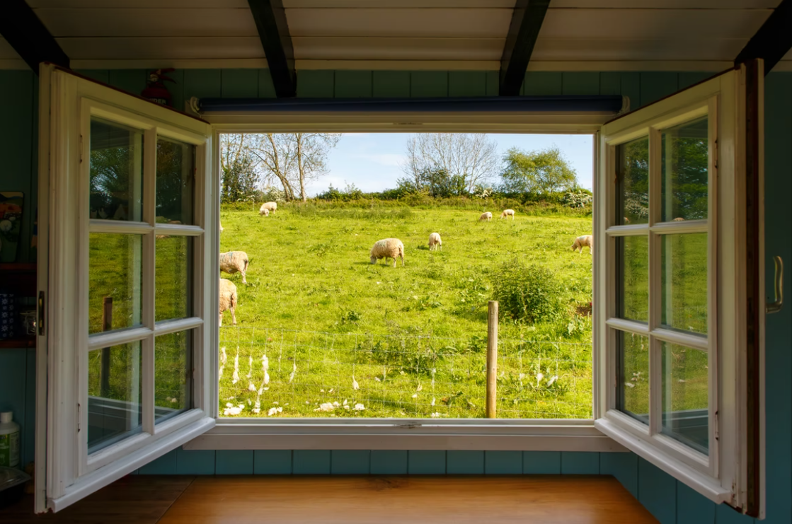 Will Opening Windows Reduce Mold? A Basic Guide
